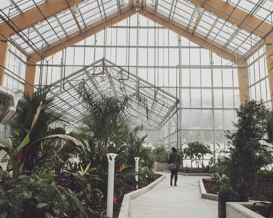 Gage Park Greenhouse