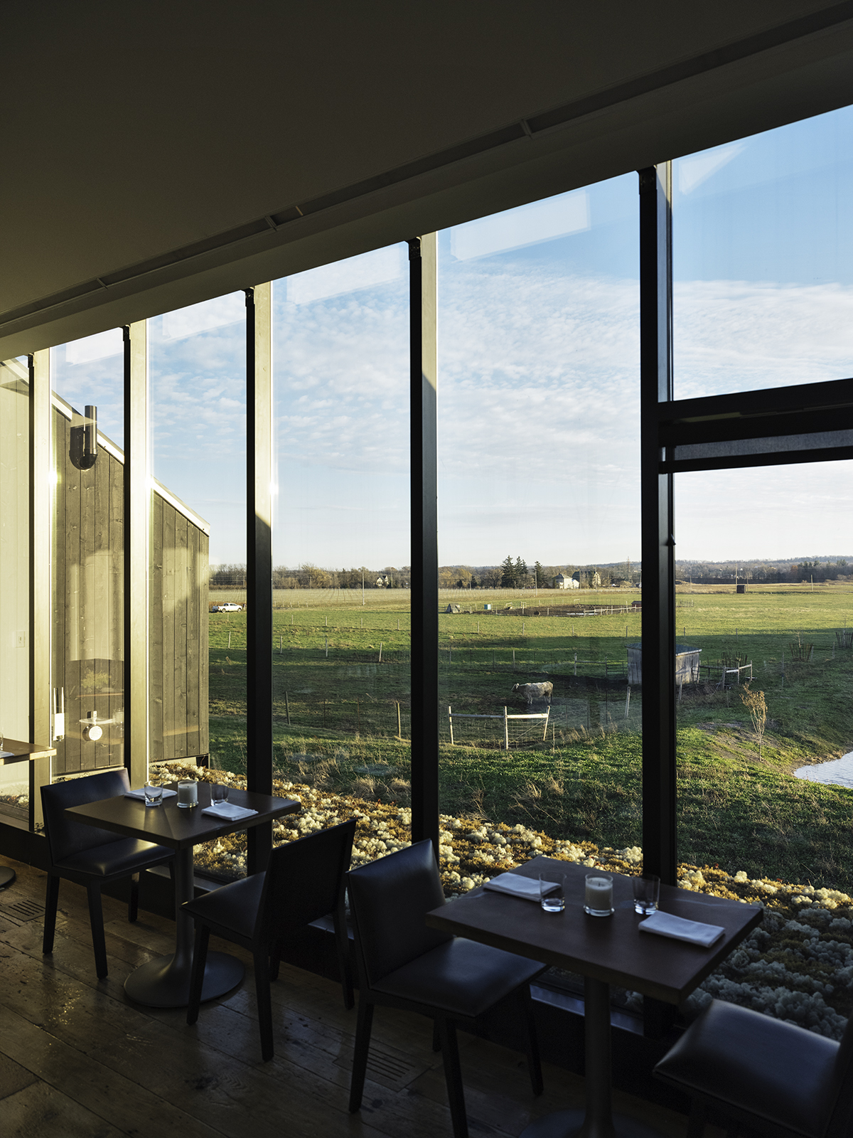 The outdoor view at the Pearl Morissette vinery restaurant 