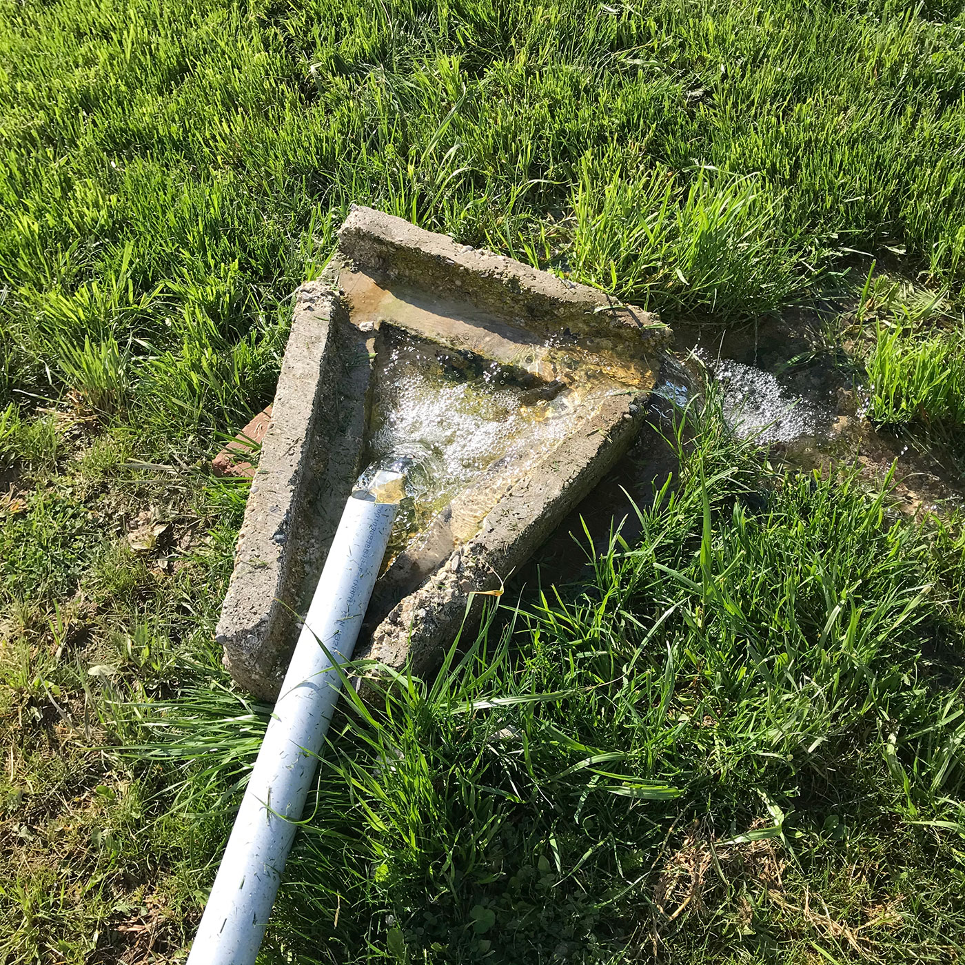 water runoff makes for an ideal rustic bird bath