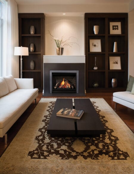 living room concept with gas fireplace